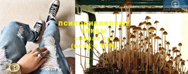 каннабис Алзамай