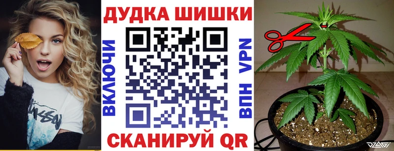 Шишки марихуана SATIVA & INDICA  Опочка 